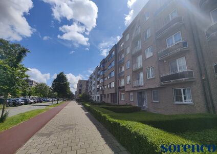 Appartement te huur in Wilrijk